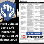 IT Field Jobs at State Life Insurance Corporation Of Pakistan 2024