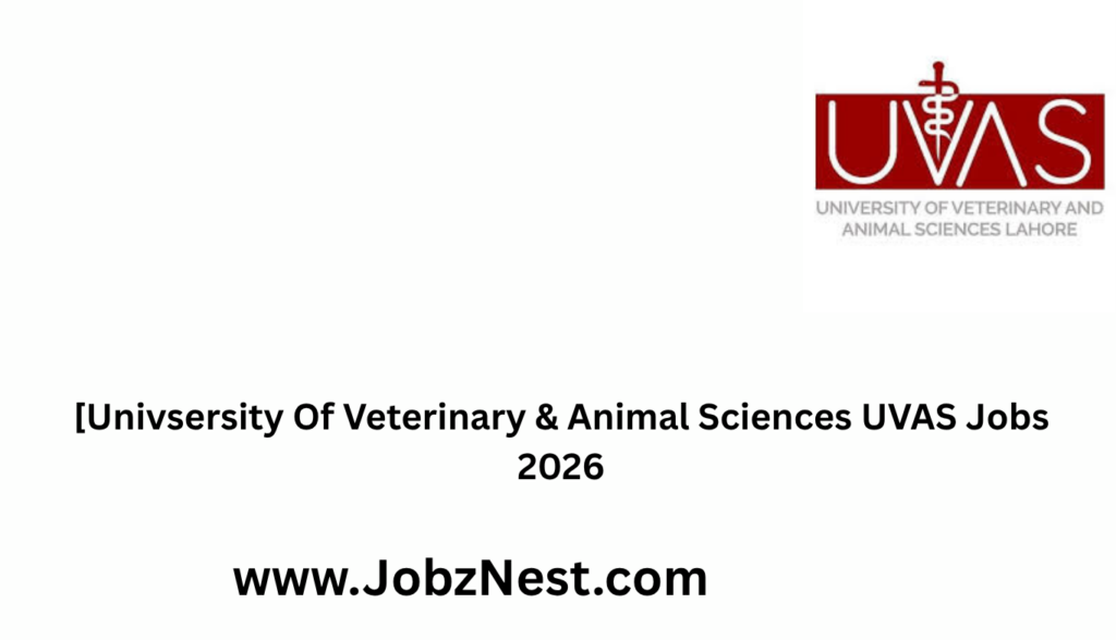 University of Veterinary & Animal Sciences UVAS Jobs 2026 Everything You Need to Know Before Applying