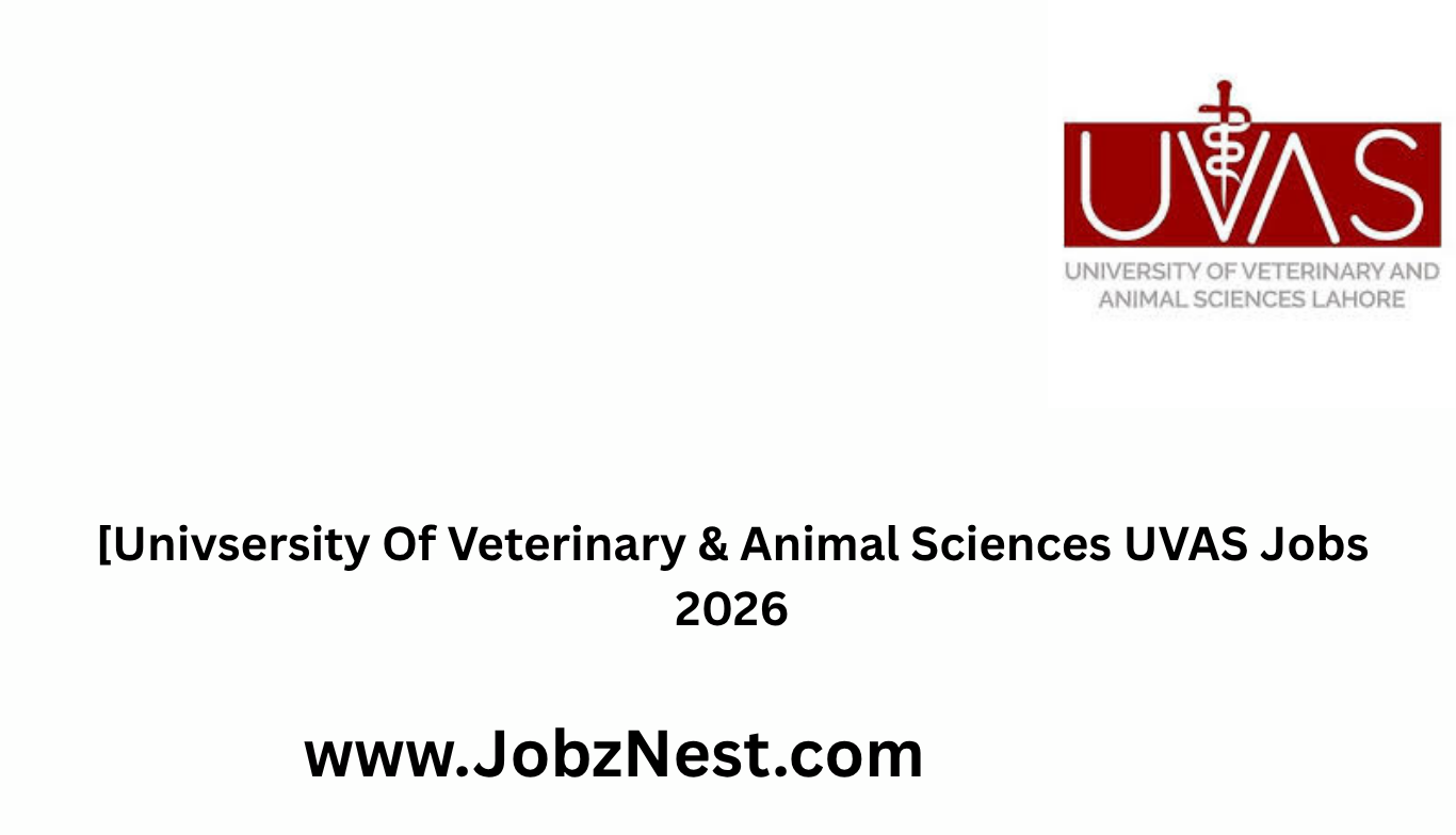University of Veterinary & Animal Sciences UVAS Jobs 2026 Everything You Need to Know Before Applying